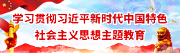 学习贯彻习近平新时代中国特色社会主义思想主题教育