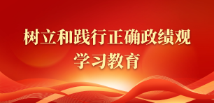 树立和践行正确政绩观学习教育